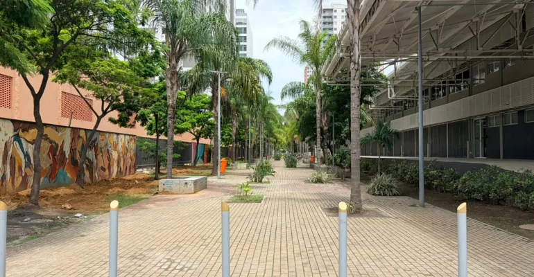 Passeio Ernesto Nazareth: arte, convivência e revitalização no Santo Cristo